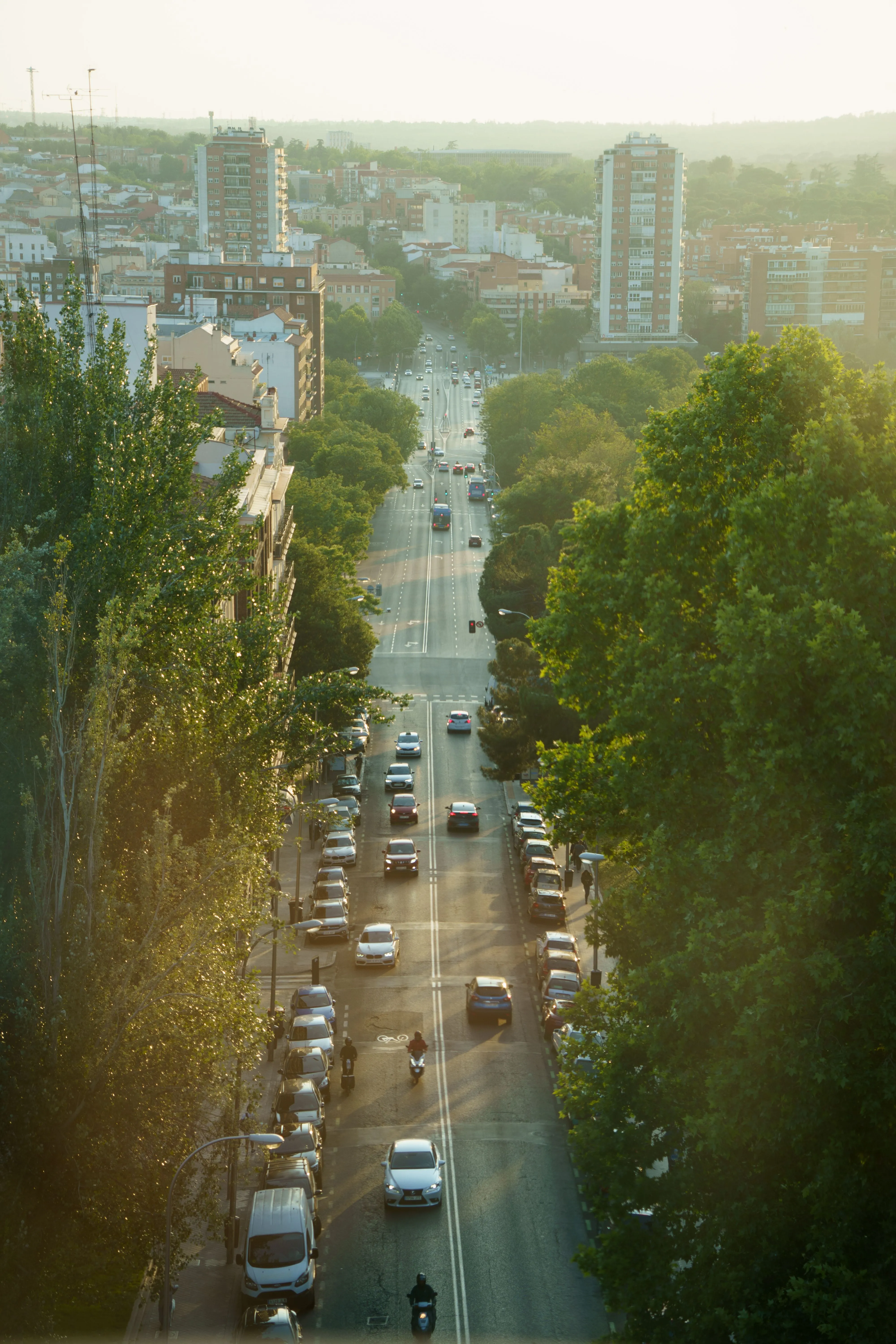 Paseo de la Castellana arbolado en Madrid